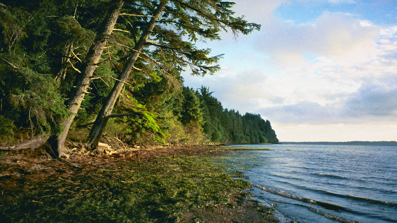 Shore Of Long Island